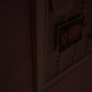 Meet your Posher, Priscilla